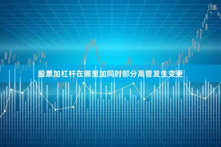 股票加杠杆在哪里加同时部分高管发生变更